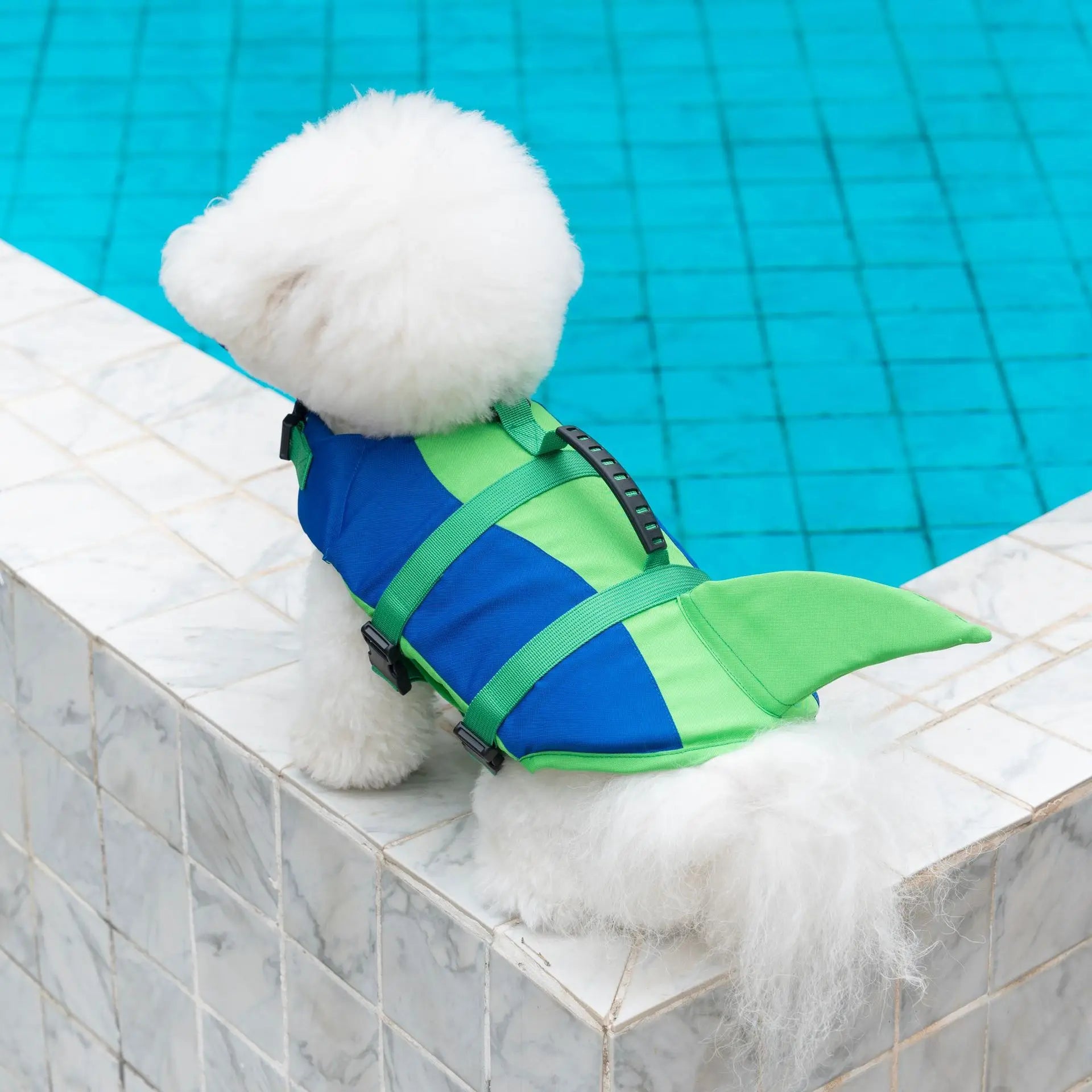 Dog Life Jacket | Keep Your Best Friend Safe in the Water 🐶