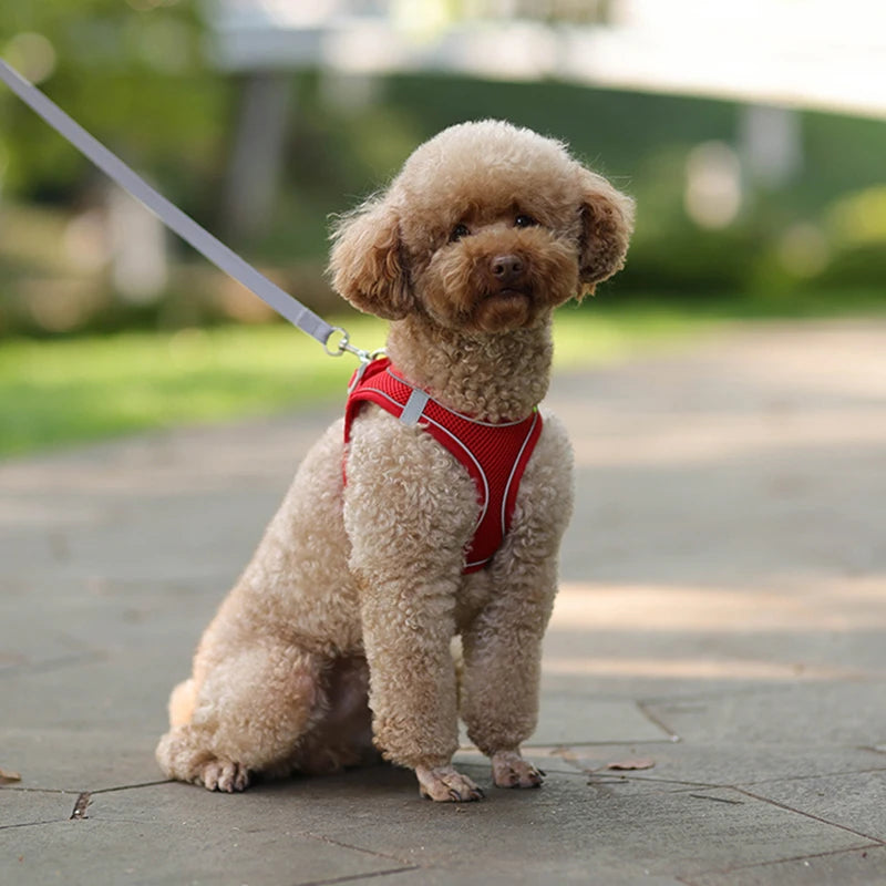 Breathable Mesh Reflective Dog Cat Harness With Matching Leash, Adjustable Vest Harness For Small Puppy Kitten