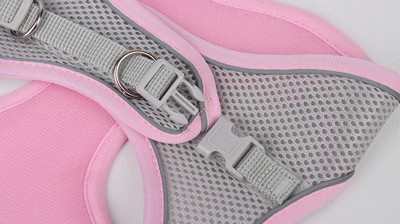 Breathable Mesh Reflective Dog Cat Harness With Matching Leash, Adjustable Vest Harness For Small Puppy Kitten