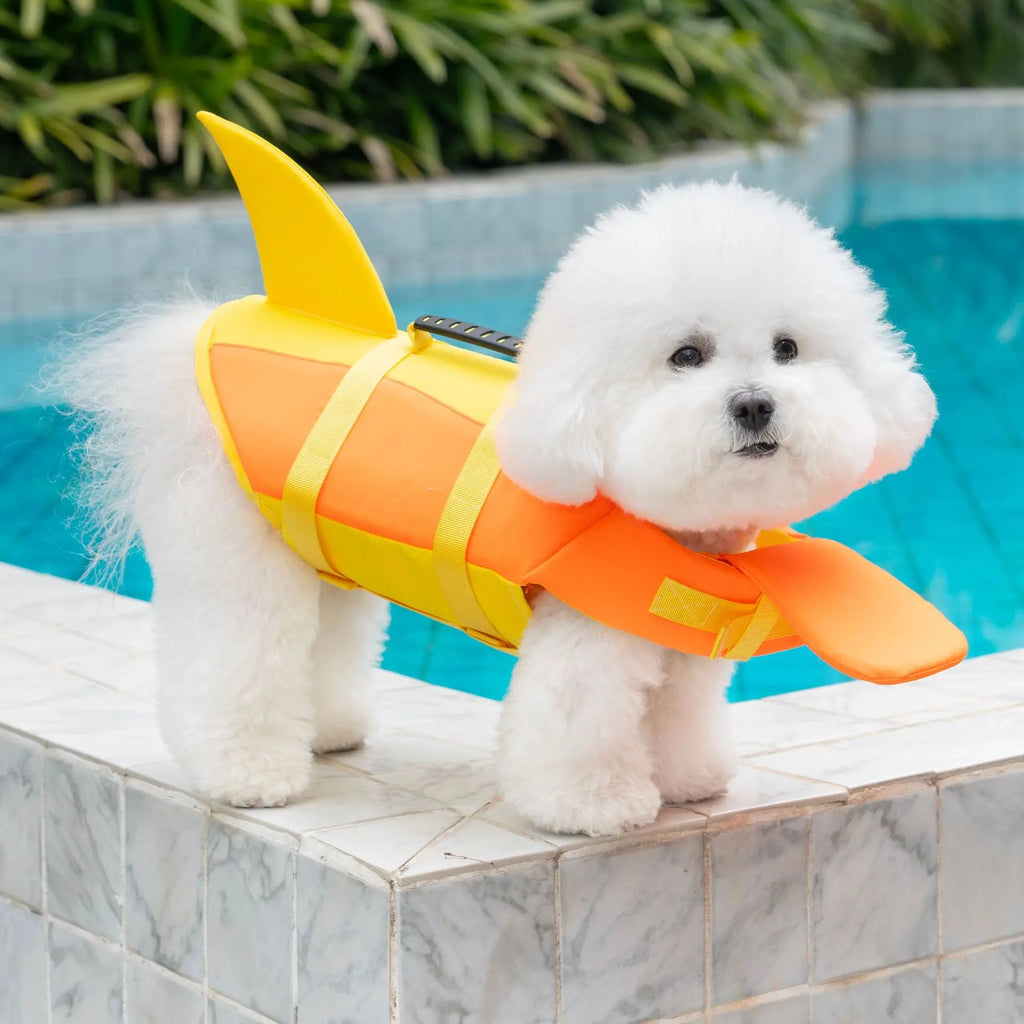 Dog Life Jacket | Keep Your Best Friend Safe in the Water 🐶