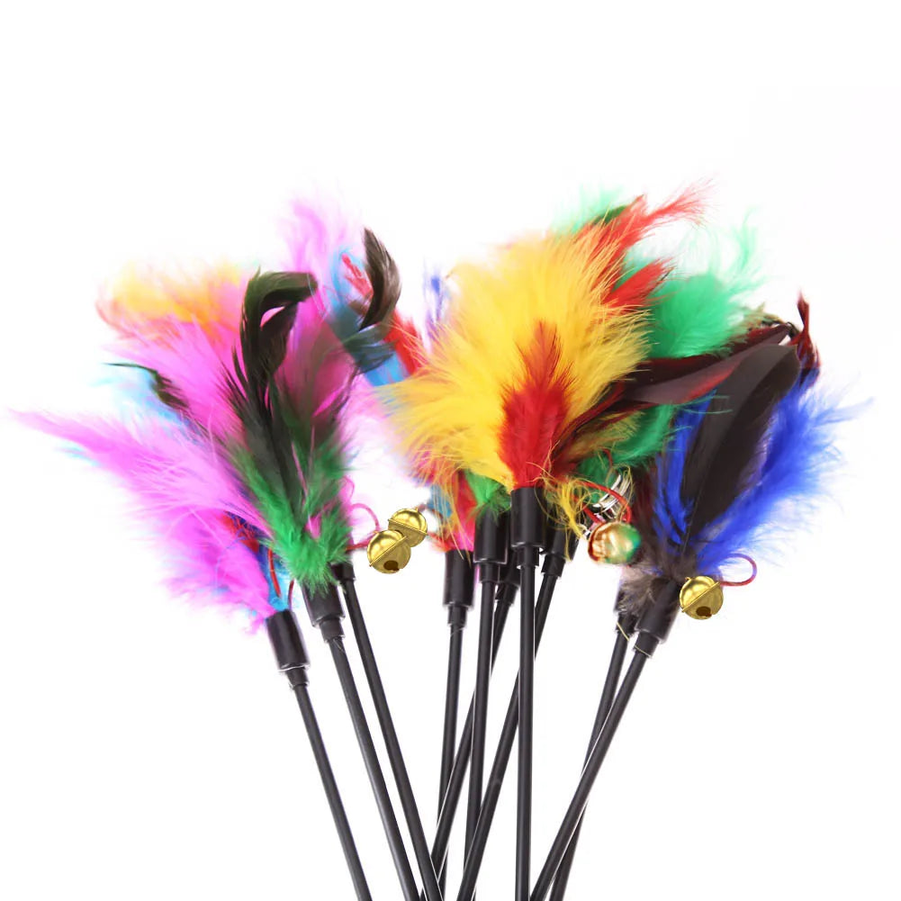 Interactive Cat Feather Wand Toy with Bell – Natural Hunting Teaser Stick for Indoor Cats