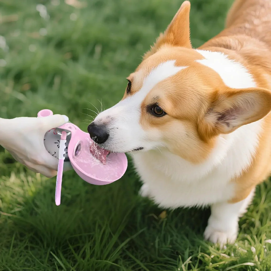 2-in-1 Portable Dog Water Bottle | Leak-Proof Travel Water Bowl for Small Dogs
