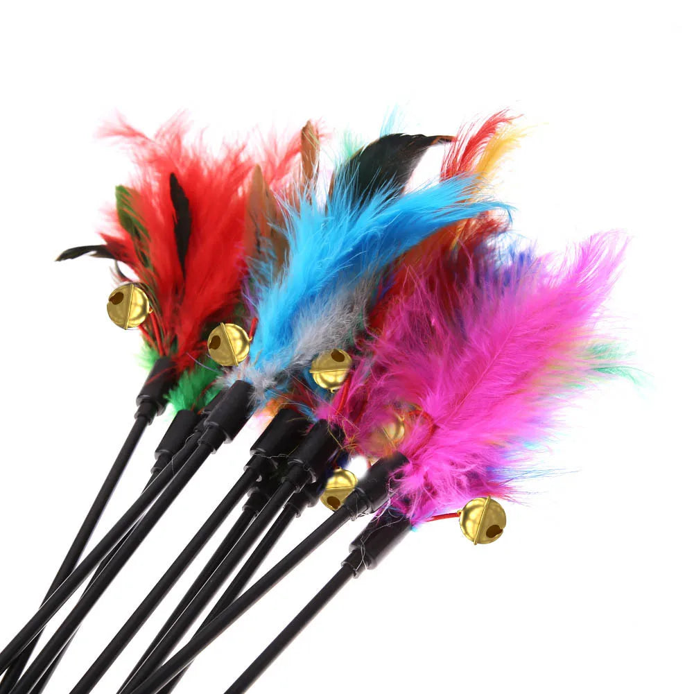 Interactive Cat Feather Wand Toy with Bell – Natural Hunting Teaser Stick for Indoor Cats
