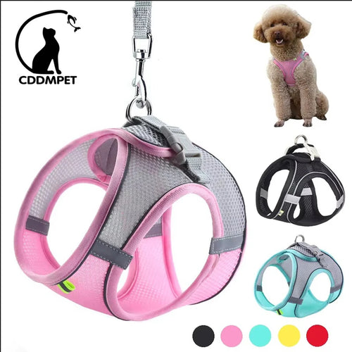 Breathable Mesh Reflective Dog Cat Harness With Matching Leash, Adjustable Vest Harness For Small Puppy Kitten