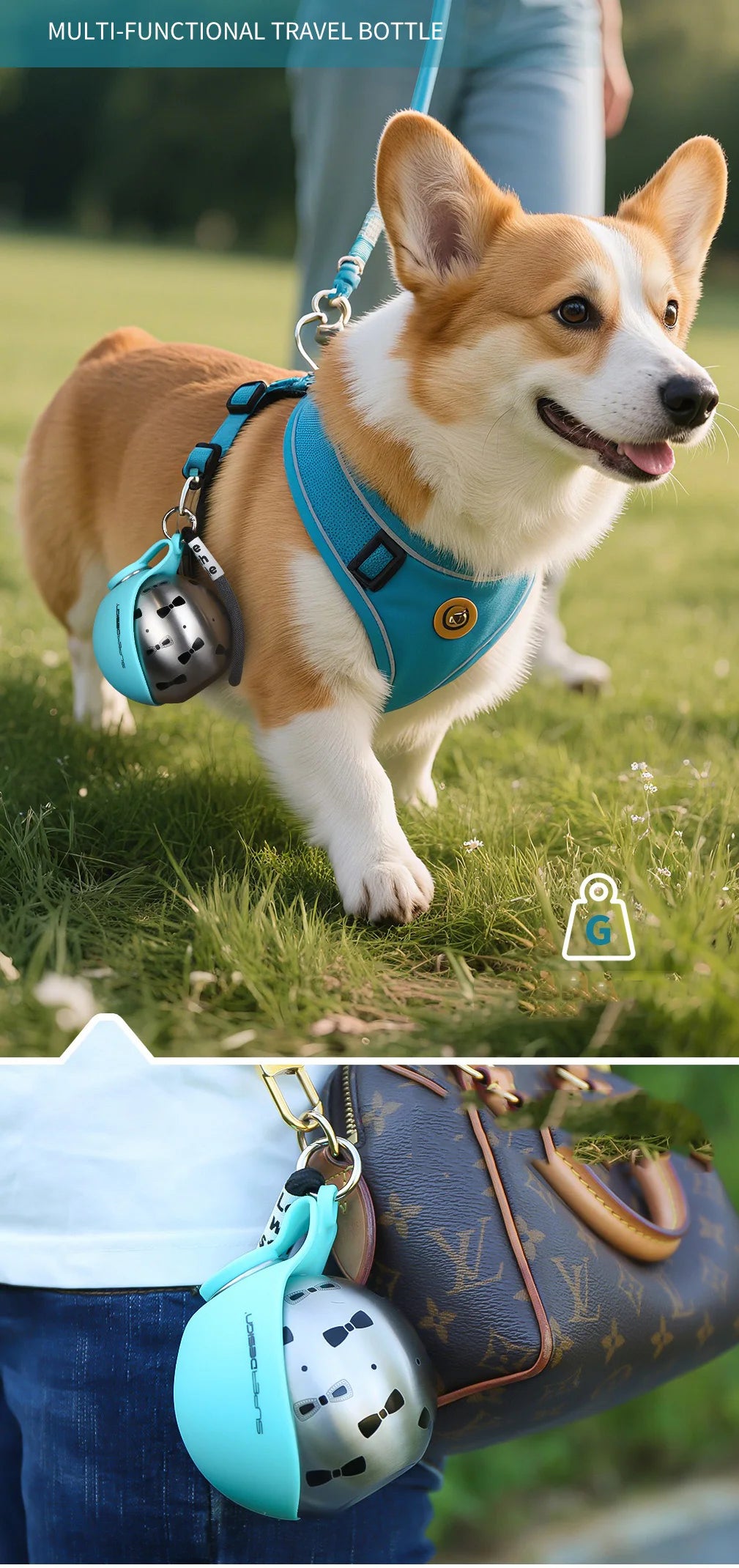 285ML Portable Stainless Steel Dog Water Bottle, Leakproof PETG Travel Drinking Dispenser for Small Puppy Outdoor Walking Hiking