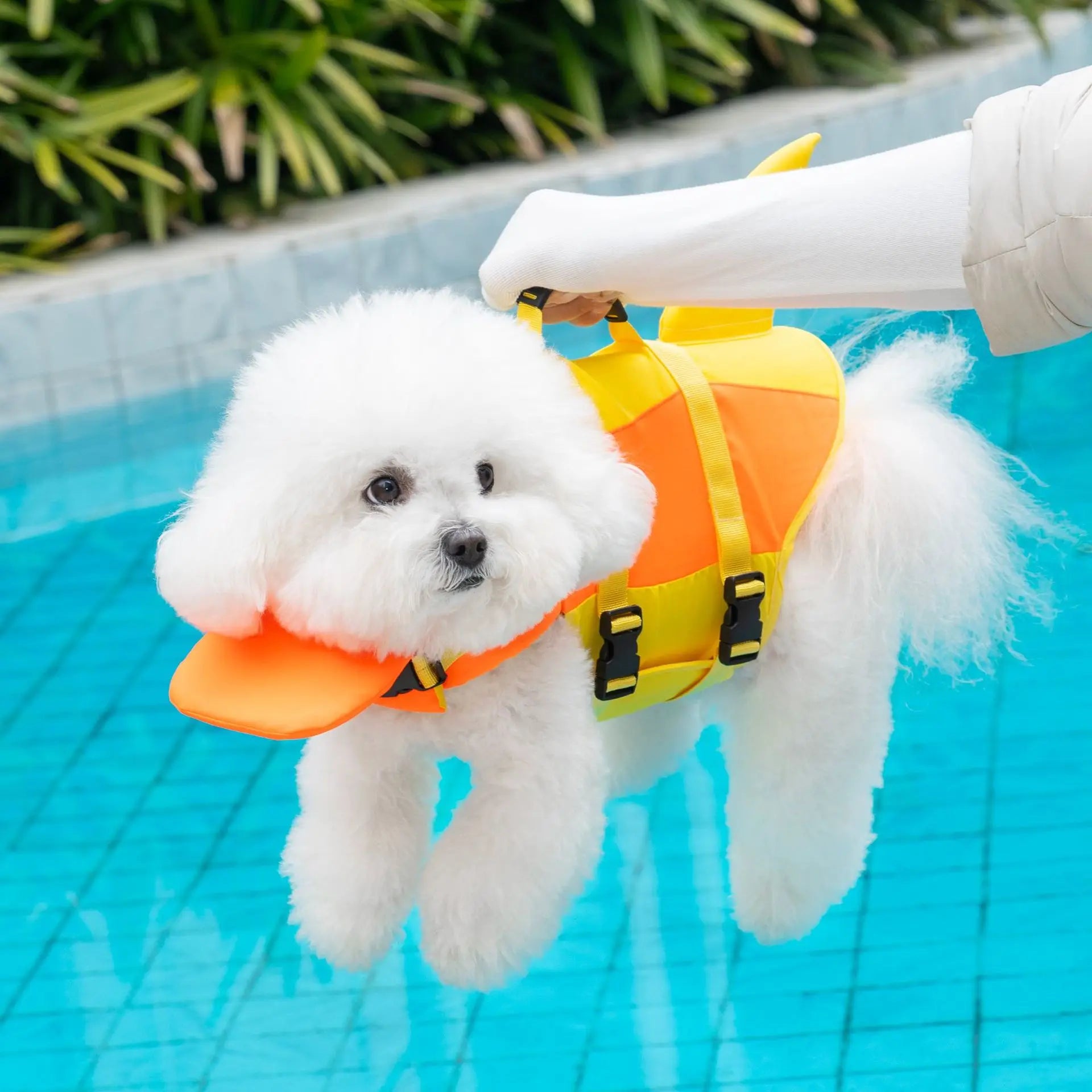 Dog Life Jacket | Keep Your Best Friend Safe in the Water 🐶