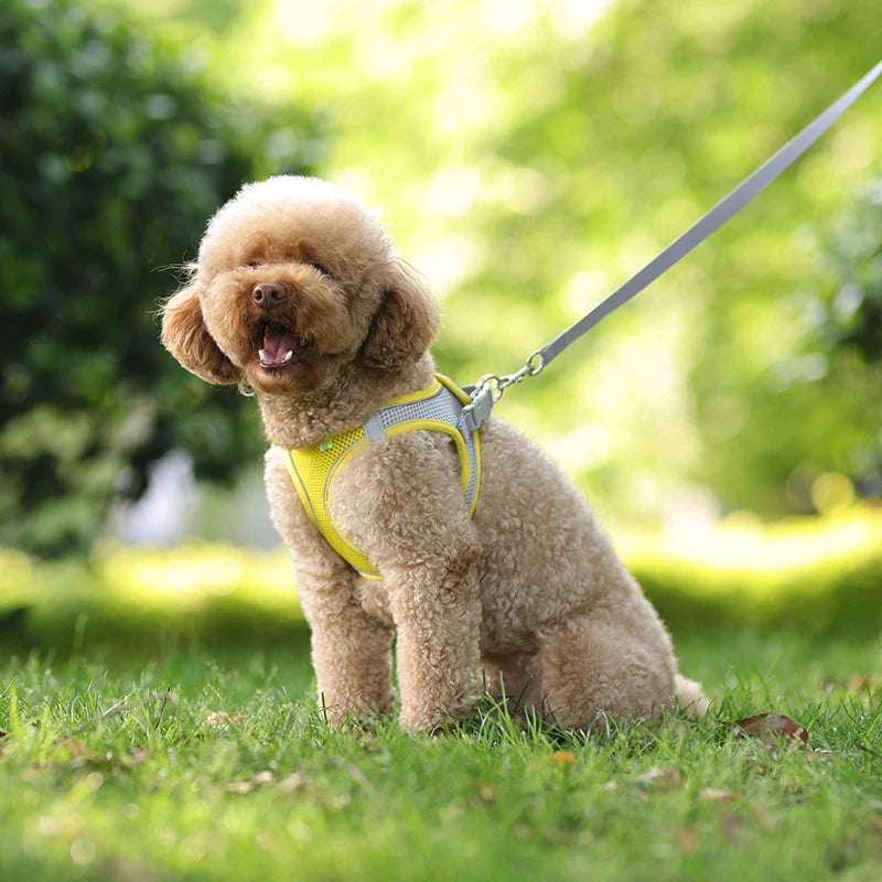 Breathable Mesh Reflective Dog Cat Harness With Matching Leash, Adjustable Vest Harness For Small Puppy Kitten