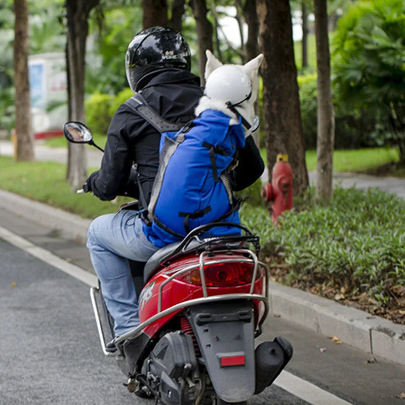 👉 Take Your Dog Everywhere – Breathable & Safe Carrier Backpack