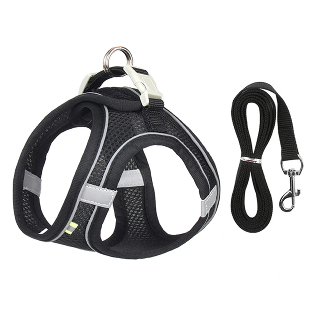 Breathable Mesh Reflective Dog Cat Harness With Matching Leash, Adjustable Vest Harness For Small Puppy Kitten