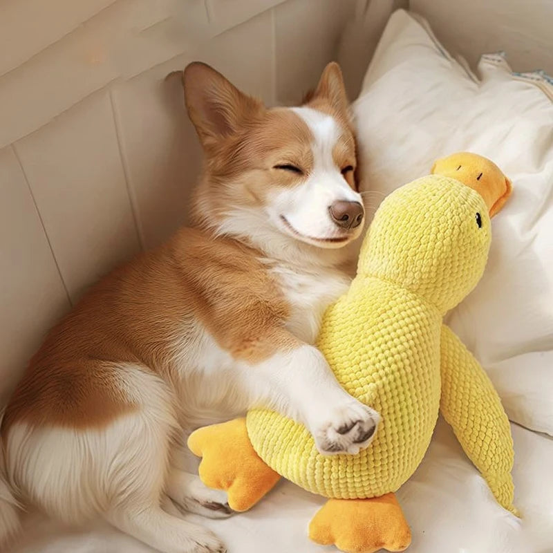 2PCS Squeaky Duck Dog Chew Toy, Durable Pineapple Fabric Interactive Quacking Toy for Dogs Aggressive Chewers